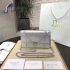 Dior Bag 015